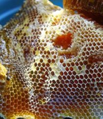 Sáp ong rừng nguyên chất