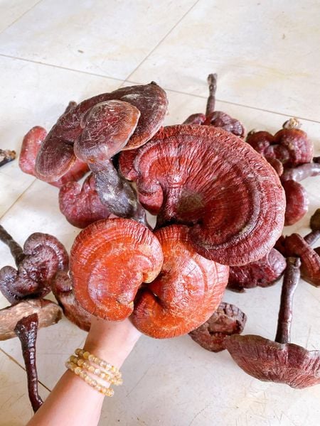 z3494209811736_593a1334c13263e6ba8cb21b3c0cc49c_f51ae0e36b3a4080a9d2e8fdf3db2e86_grande