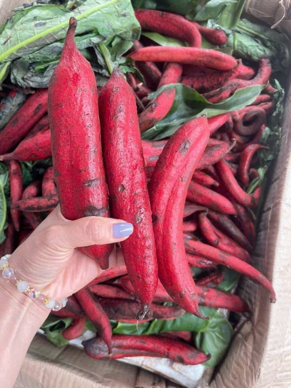 z6989761105448_f7930205856c94e1c2677873b553b74c