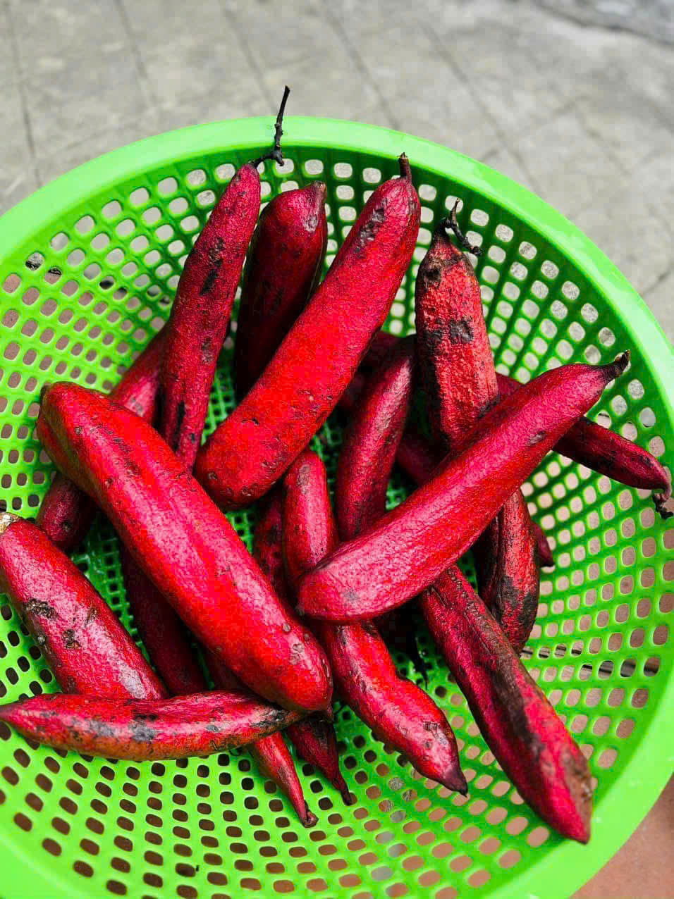 z6989761115661_fd71ecd7838a1ca23a6340f6094dbb9e