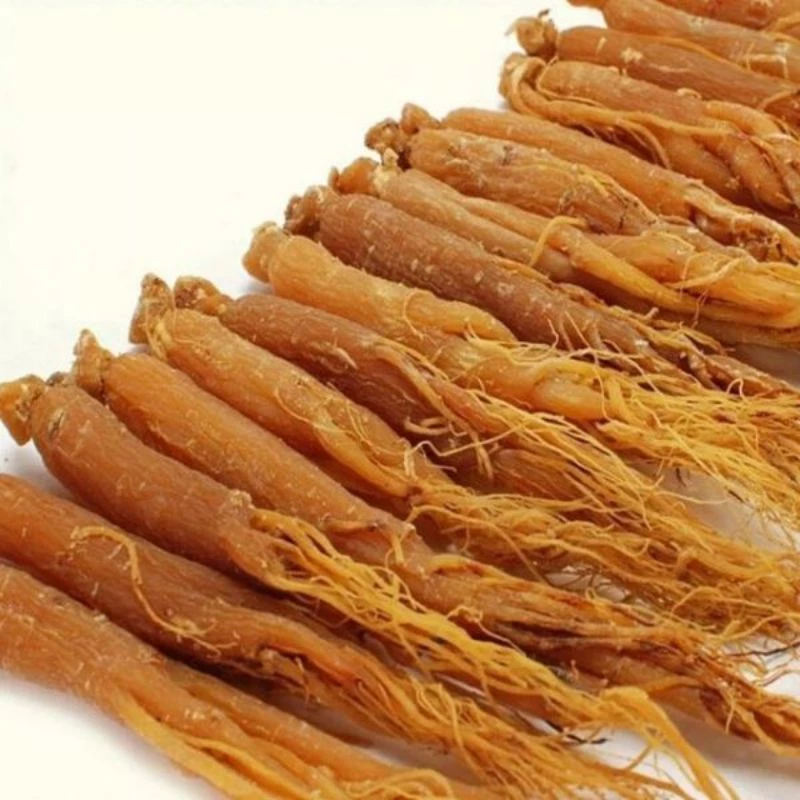 Hồng sâm sấy dẻo hàng chọn loại 1 Hồng sâm sấy dẻo hàng chọn loại 1