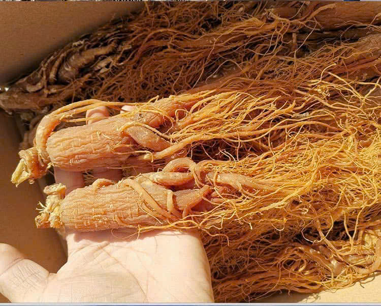 z7145199020035_4b4490fd189cb8dee1f421db326963de