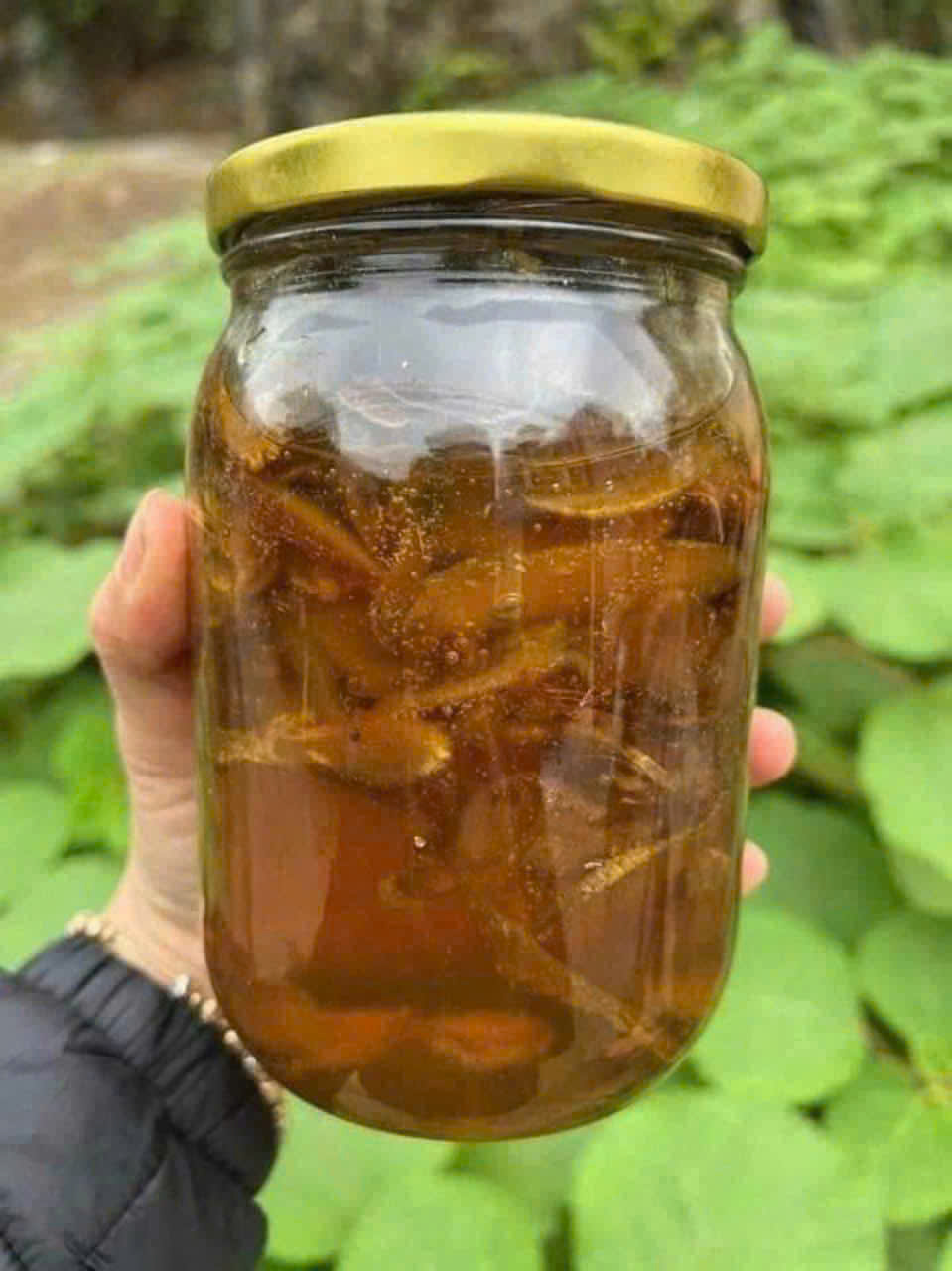 z7145199194345_d3017f2b6fedb29bc35262d93e5cc204