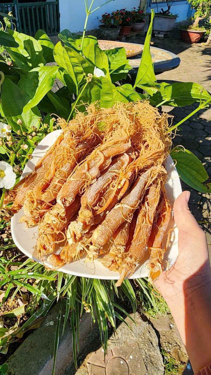 z7145199372826_bdfb0ab104e909a720ea27d2d74b30c9